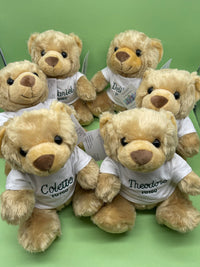 Personalised classic teddy bear