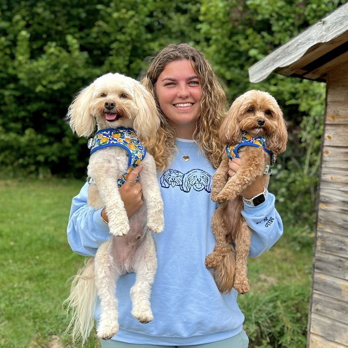 Adult sweatshirt personalised dog outline