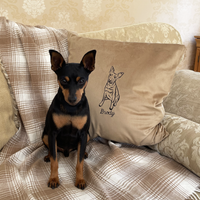 Personalised photo outline pet cushion