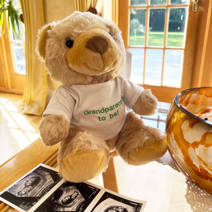 Personalised message classic teddy bear